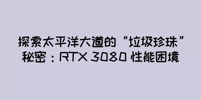 探索太平洋大道的“垃圾珍珠”秘密：RTX 3080 性能困境