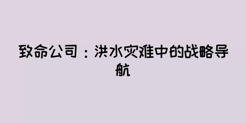 致命公司：洪水灾难中的战略导航