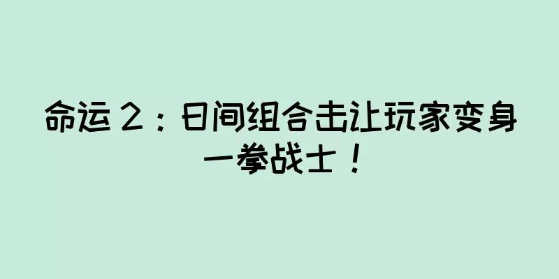 命运 2：日间组合击让玩家变身一拳战士！